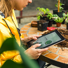Gardener looking at a tablet about plants